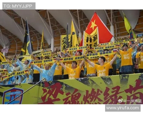 重庆排球队灵活性引发热议球迷与专家观点大碰撞